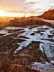 lt;Gingerly, Shen Qi