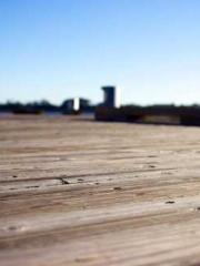 The Rough Man Hunter