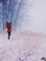 Super Dimensional Me