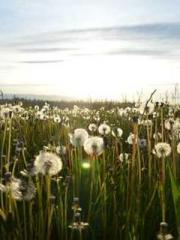 The Best Little Body