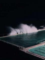 Peninsula Asteroid l