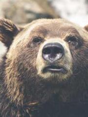 Fast Travel: The Vil