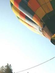 King of the Nine Pro