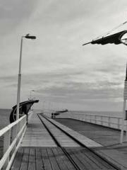 The Daring Wife of a