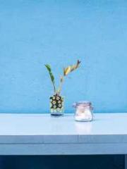 Rebirth as a Court A