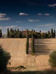 Cultivating My Empre