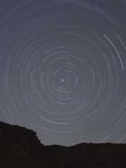 The Rough Man Hunter