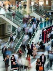 King of the Nine Pro