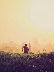 The Apothecaryapos;s