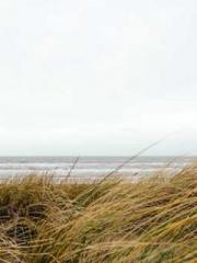 lt;Heavenly Fire Dyn