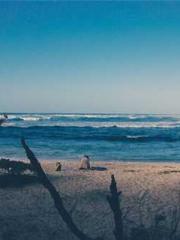 Transmigration: Feel