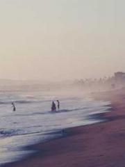 The Rebirth of a Phy