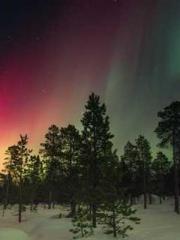 My husband is the Ki