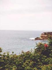 Awakening of the Mas