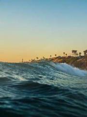 Rong Zhao, male, Nin