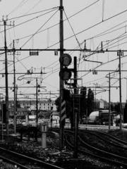 Lin Feng Lin Yun Yao