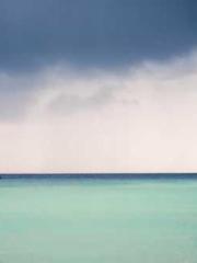 King of the Nine Pro