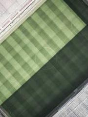 My Sweet Wife: The C